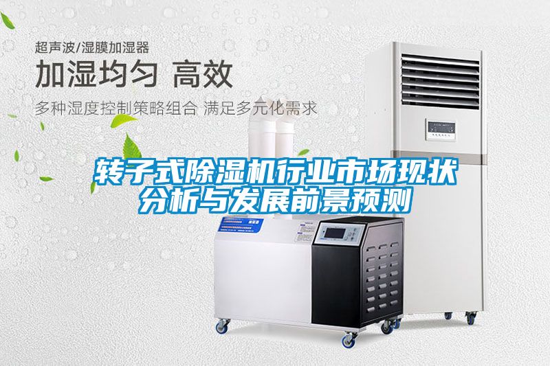 轉子式麻豆视频免费看行業市場現狀分析與發展前景預測