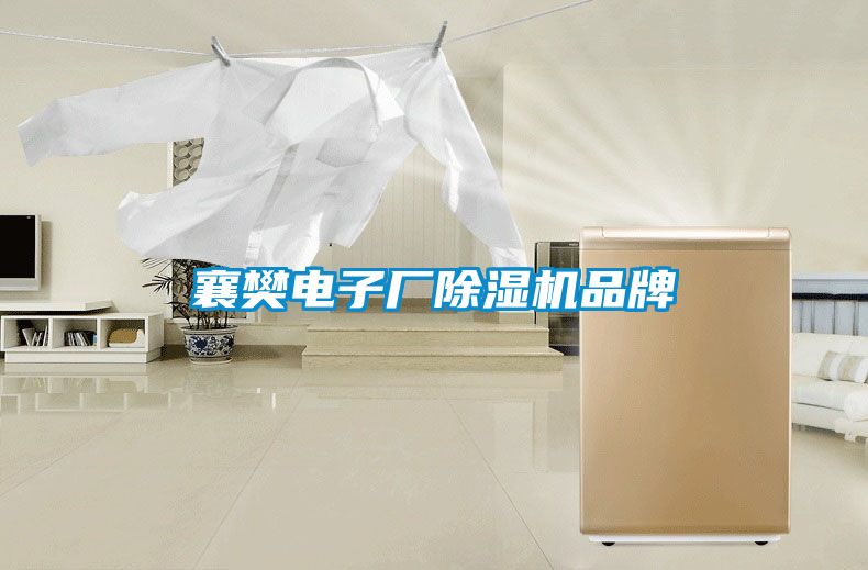 襄樊電子廠麻豆视频免费看品牌