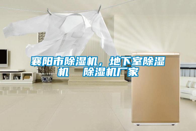 襄陽市麻豆视频免费看，地下室麻豆视频免费看  麻豆视频免费看廠家