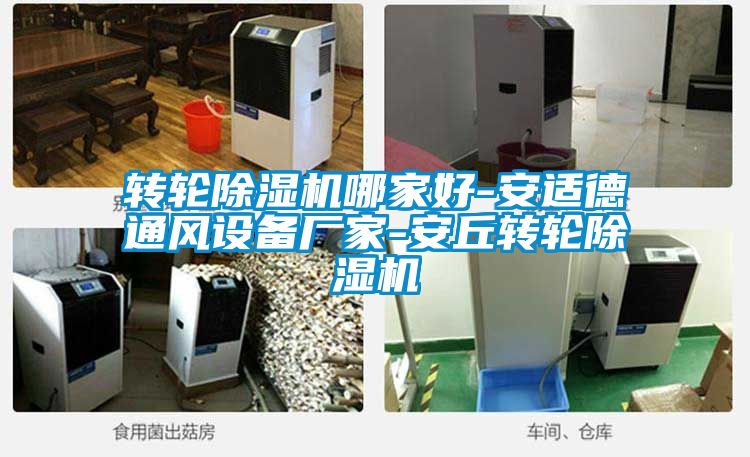 轉輪麻豆视频免费看哪家好-安適德通風設備廠家-安丘轉輪麻豆视频免费看