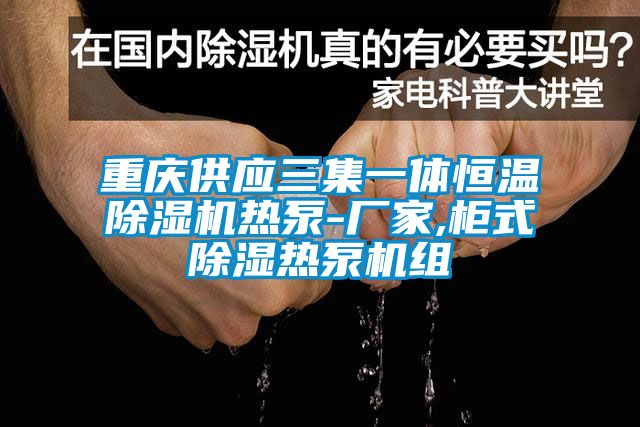 重慶供應三集一體恒溫麻豆视频免费看熱泵-廠家,櫃式除濕熱泵機組