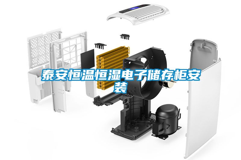 泰安恒溫恒濕電子儲存櫃安裝
