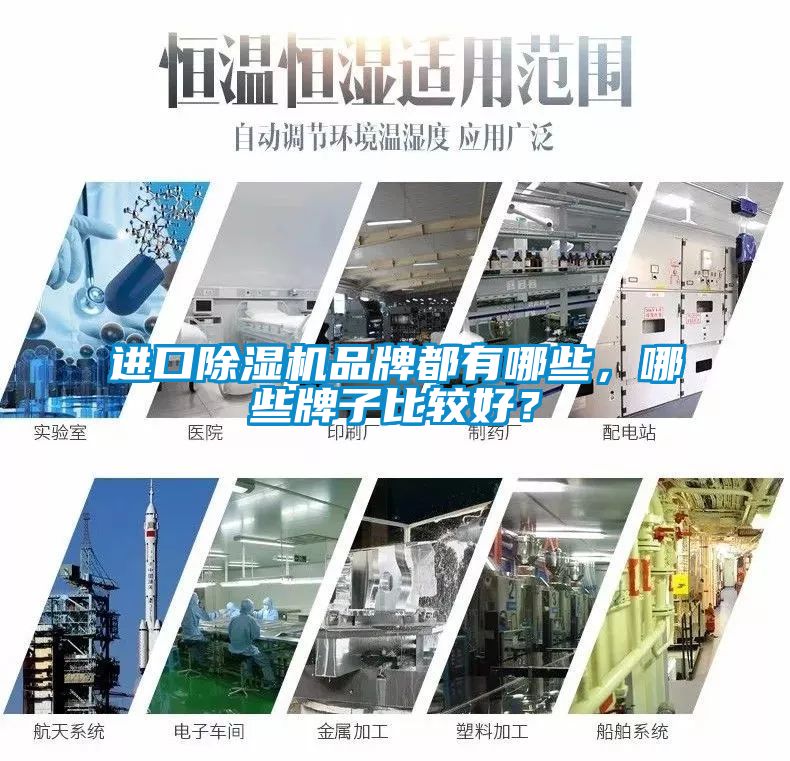 進口麻豆视频免费看品牌都有哪些，哪些牌子比較好？