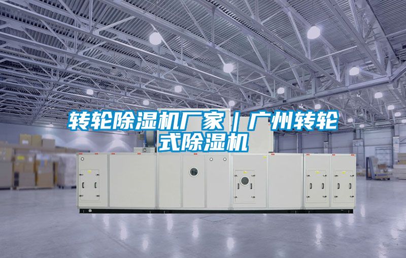 轉輪麻豆视频免费看廠家｜廣州轉輪式麻豆视频免费看