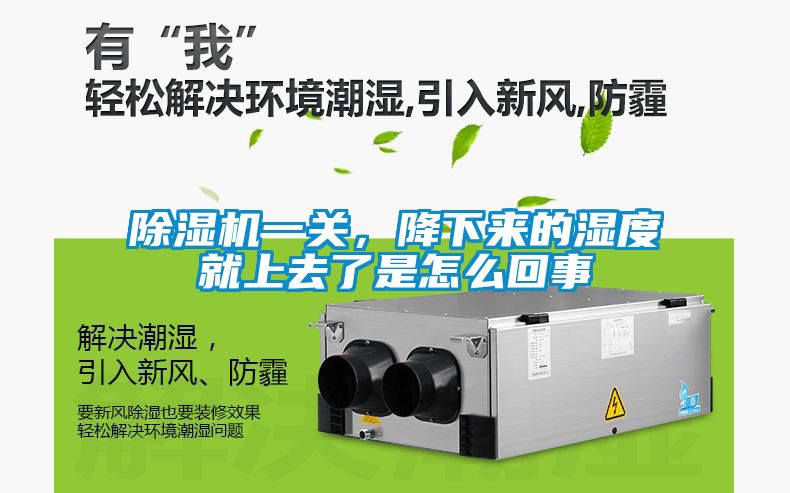 麻豆视频免费看一關，降下來的濕度就上去了是怎麽回事