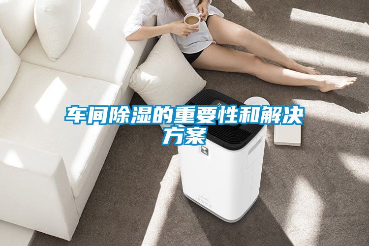 車間除濕的重要性和激情麻豆视频