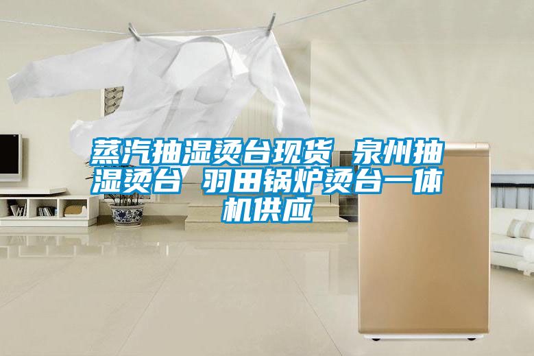 蒸汽抽濕燙台現貨 泉州抽濕燙台 羽田鍋爐燙台一體機供應