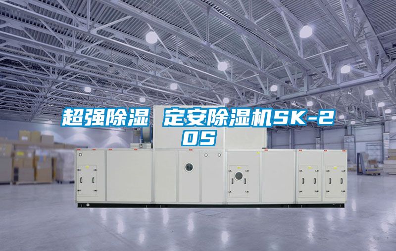 超強除濕 定安麻豆视频免费看SK-20S