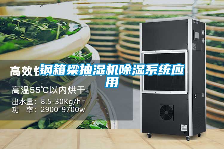 鋼箱梁抽濕機除濕係統應用