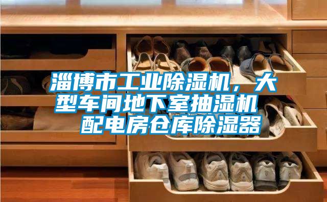 淄博市工業麻豆视频免费看，大型車間地下室抽濕機  配電房倉庫除濕器
