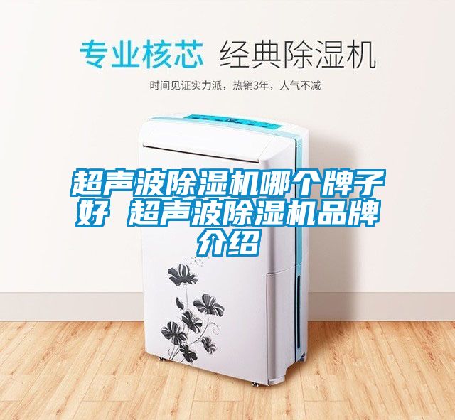 超聲波麻豆视频免费看哪個牌子好 超聲波麻豆视频免费看品牌介紹