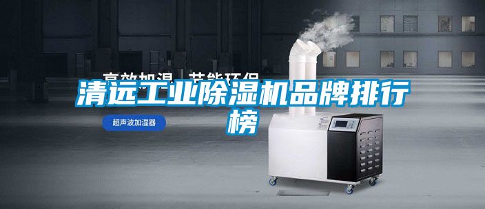 清遠工業麻豆视频免费看品牌排行榜