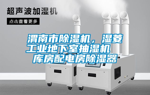 渭南市麻豆视频免费看，濕菱工業地下室抽濕機  庫房配電房除濕器