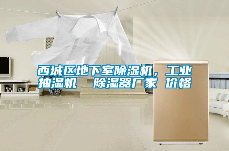西城區地下室麻豆视频免费看，工業抽濕機  除濕器廠家 價格