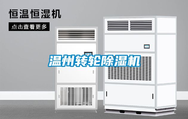 溫州轉輪麻豆视频免费看