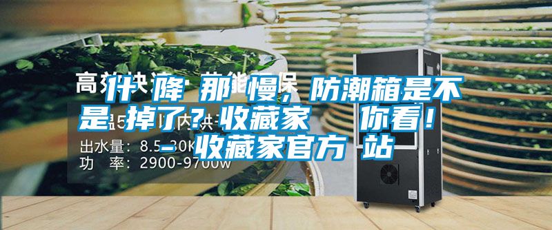 為什麼降濕那麼慢，防潮箱是不是壞掉了？收藏家實測給你看！ - 收藏家官方網站