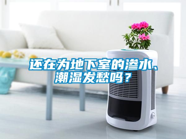 還在為地下室的滲水、潮濕發愁嗎？