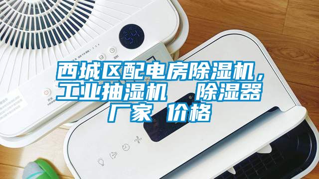 西城區配電房麻豆视频免费看，工業抽濕機  除濕器廠家 價格