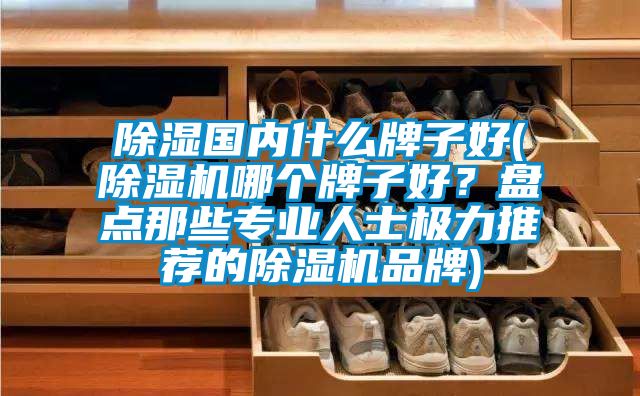 除濕國內什麽牌子好(麻豆视频免费看哪個牌子好？盤點那些專業人士極力推薦的麻豆视频免费看品牌)