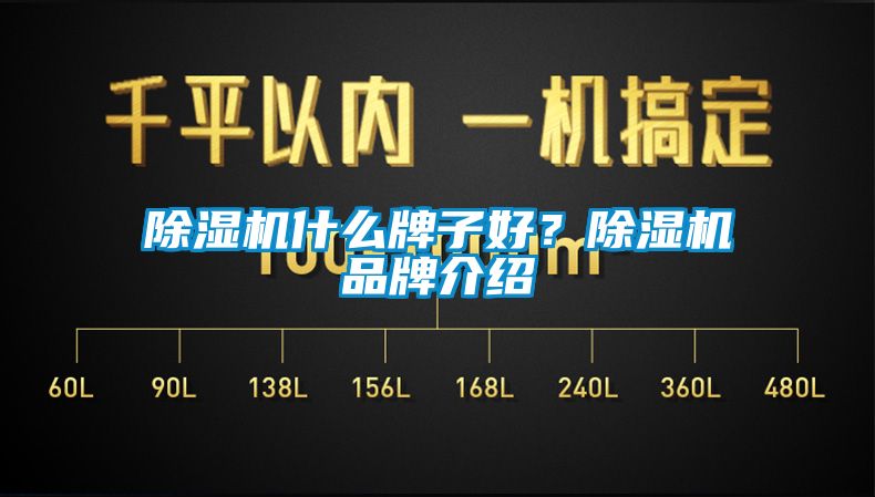 麻豆视频免费看什麽牌子好？麻豆视频免费看品牌介紹
