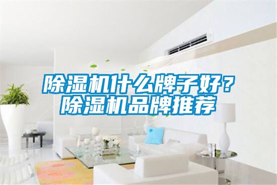麻豆视频免费看什麽牌子好？麻豆视频免费看品牌推薦