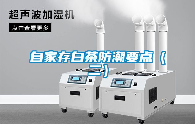 自家存白茶防潮要點（二）