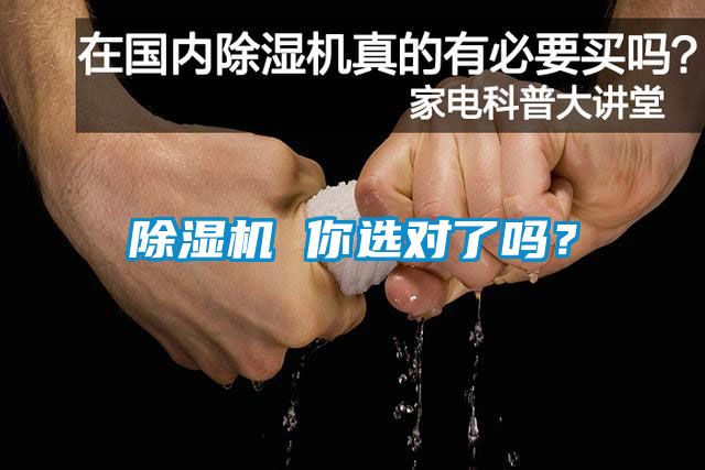 麻豆视频免费看 你選對了嗎？