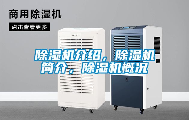 麻豆视频免费看介紹，麻豆视频免费看簡介，麻豆视频免费看概況