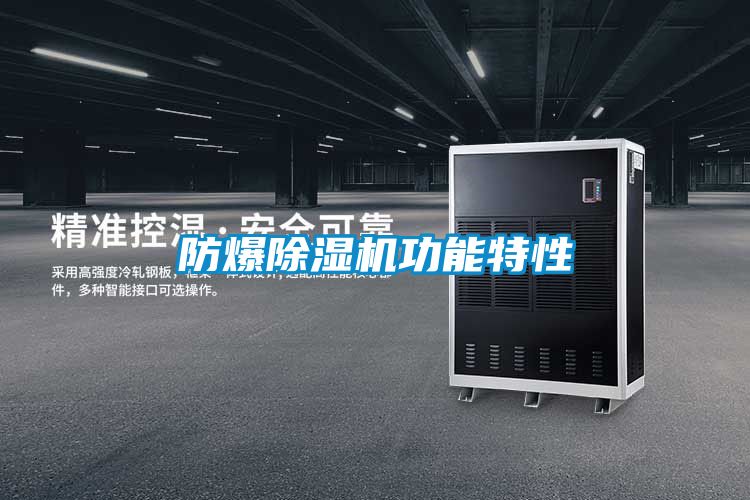 防爆麻豆视频免费看功能特性
