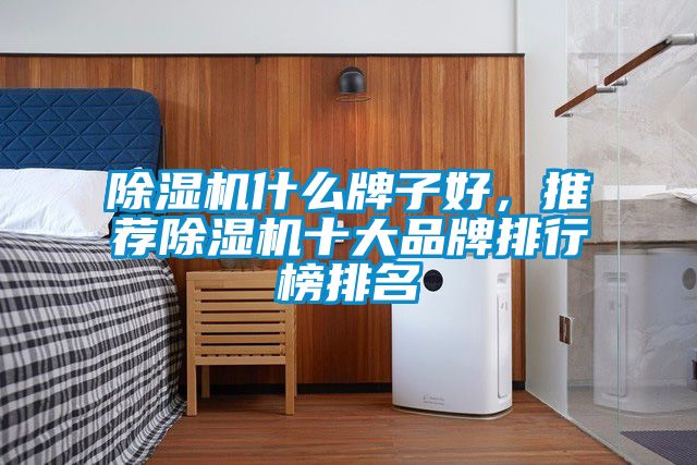 麻豆视频免费看什麽牌子好，推薦麻豆视频免费看十大品牌排行榜排名
