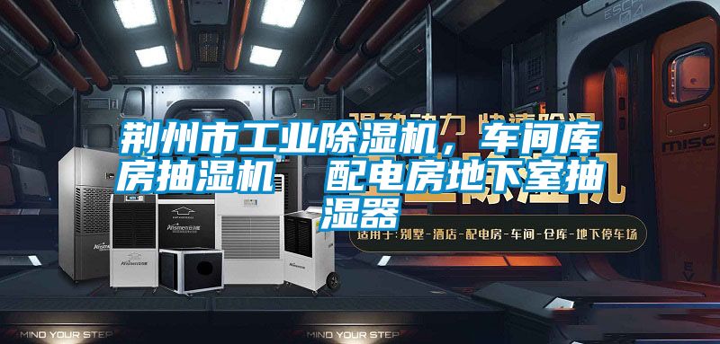 荊州市工業麻豆视频免费看，車間庫房抽濕機  配電房地下室抽濕器