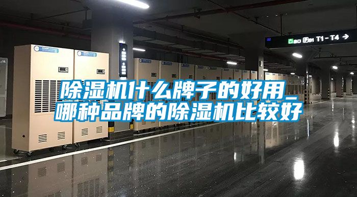 麻豆视频免费看什麽牌子的好用_哪種品牌的麻豆视频免费看比較好