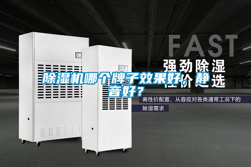 麻豆视频免费看哪個牌子效果好，靜音好？