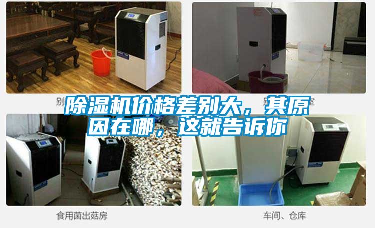 麻豆视频免费看價格差別大，其原因在哪，這就告訴你