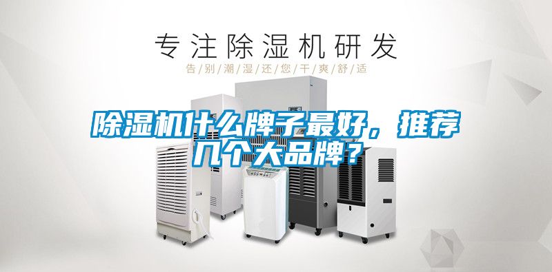 麻豆视频免费看什麽牌子最好，推薦幾個大品牌？