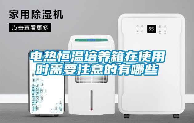 電熱恒溫培養箱在使用時需要注意的有哪些