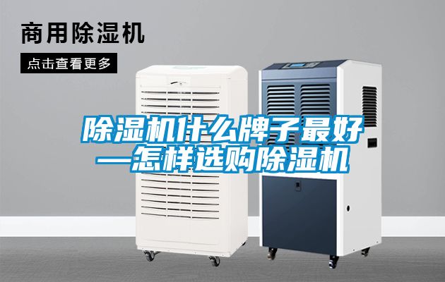 麻豆视频免费看什麽牌子最好—怎樣選購麻豆视频免费看