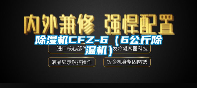 麻豆视频免费看CFZ-6（6公斤麻豆视频免费看）