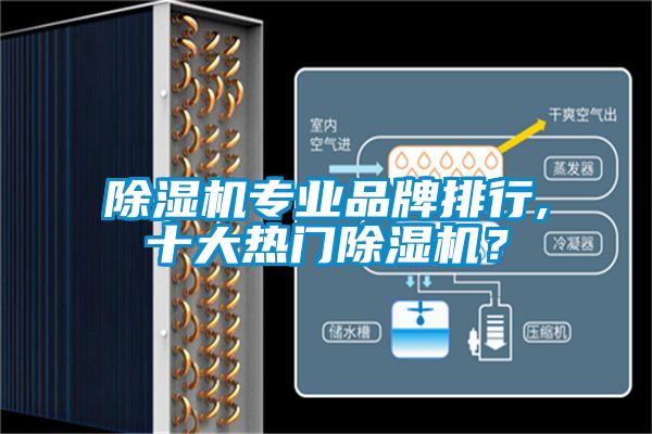 麻豆视频免费看專業品牌排行,十大熱門麻豆视频免费看？