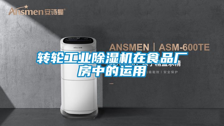 轉輪工業麻豆视频免费看在食品廠房中的運用