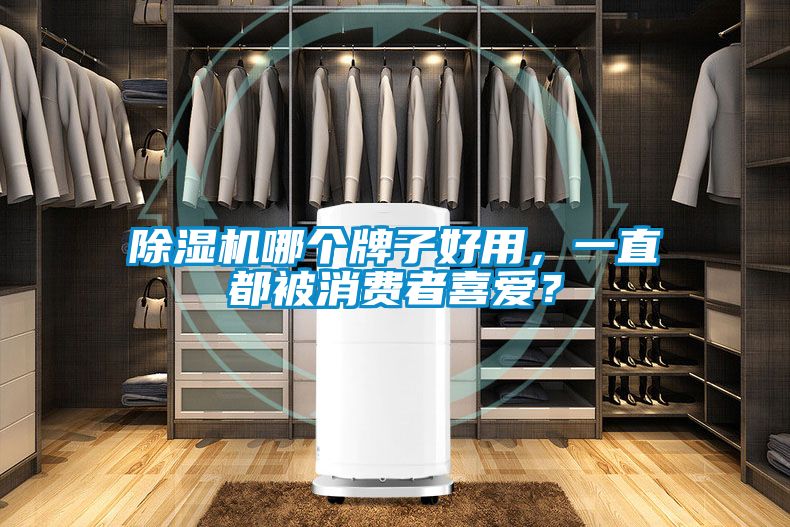 麻豆视频免费看哪個牌子好用，一直都被消費者喜愛？
