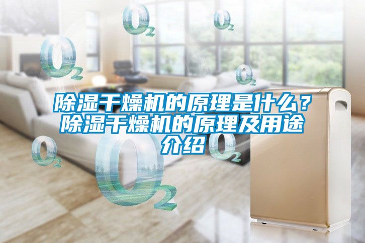 除濕幹燥機的原理是什麽？除濕幹燥機的原理及用途介紹