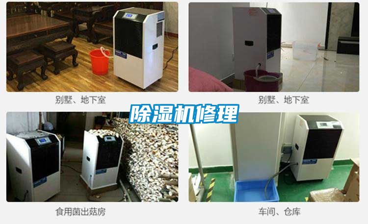麻豆视频免费看修理