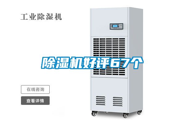 麻豆视频免费看好評67個