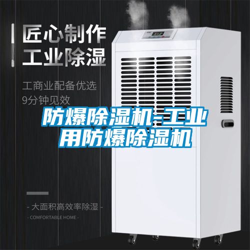防爆麻豆视频免费看-工業用防爆麻豆视频免费看