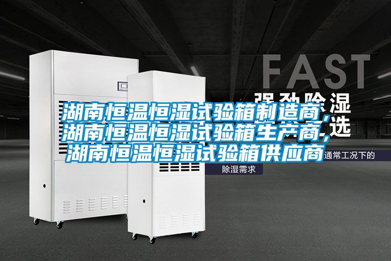 湖南恒溫恒濕試驗箱製造商，湖南恒溫恒濕試驗箱生產商，湖南恒溫恒濕試驗箱供應商