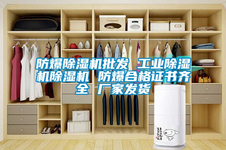 防爆麻豆视频免费看批發 工業麻豆视频免费看麻豆视频免费看 防爆合格證書齊全 廠家發貨