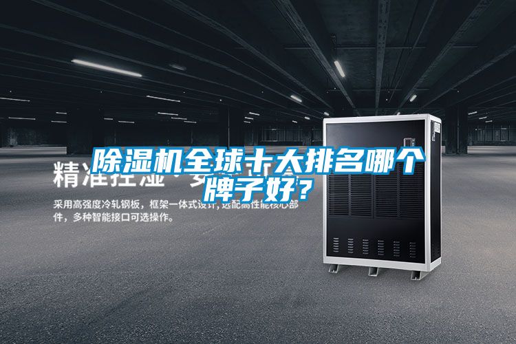 麻豆视频免费看全球十大排名哪個牌子好？