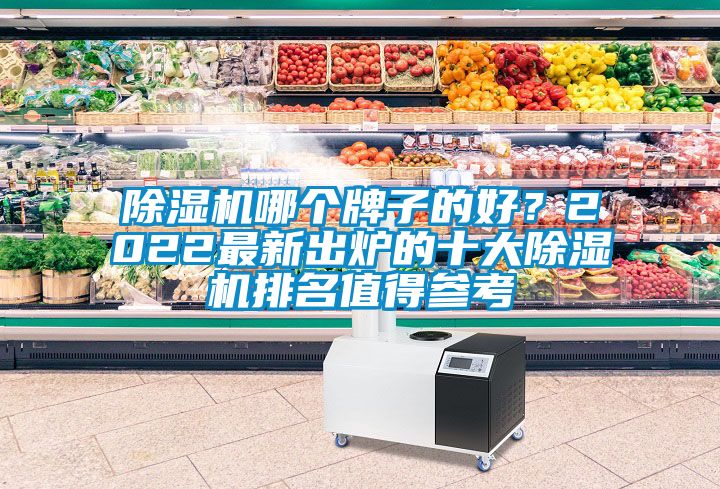 麻豆视频免费看哪個牌子的好？2022最新出爐的十大麻豆视频免费看排名值得參考