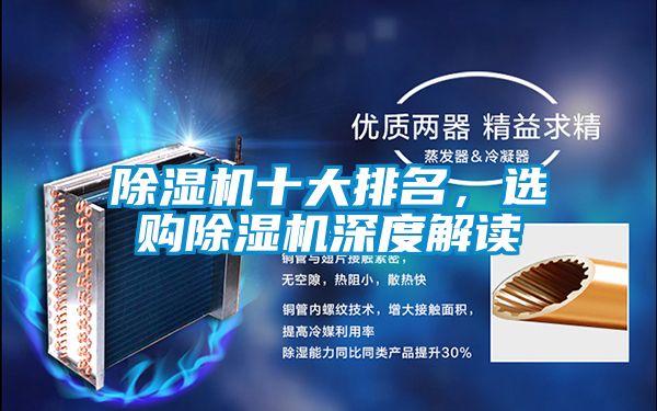麻豆视频免费看十大排名，選購麻豆视频免费看深度解讀